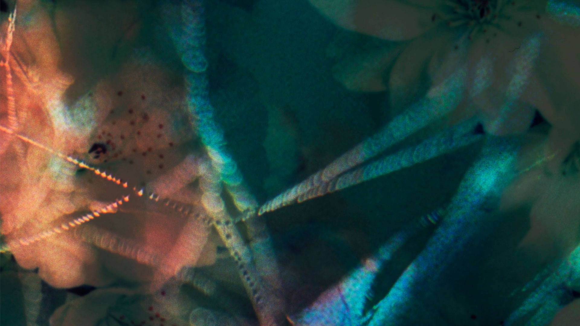 Flowers In The Gutter mix